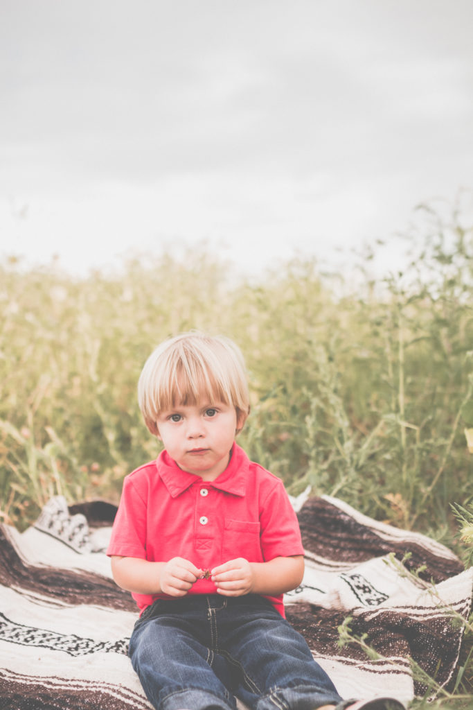 family portraits | family photographer | utah photographer | cache valley photographer | traveling photographer living on a bus | vintage bus conversion | family of 7 | bingham family | fall family pictures | west michigan photographer | michigan Photographer | south haven photographer | Caledonia photographer