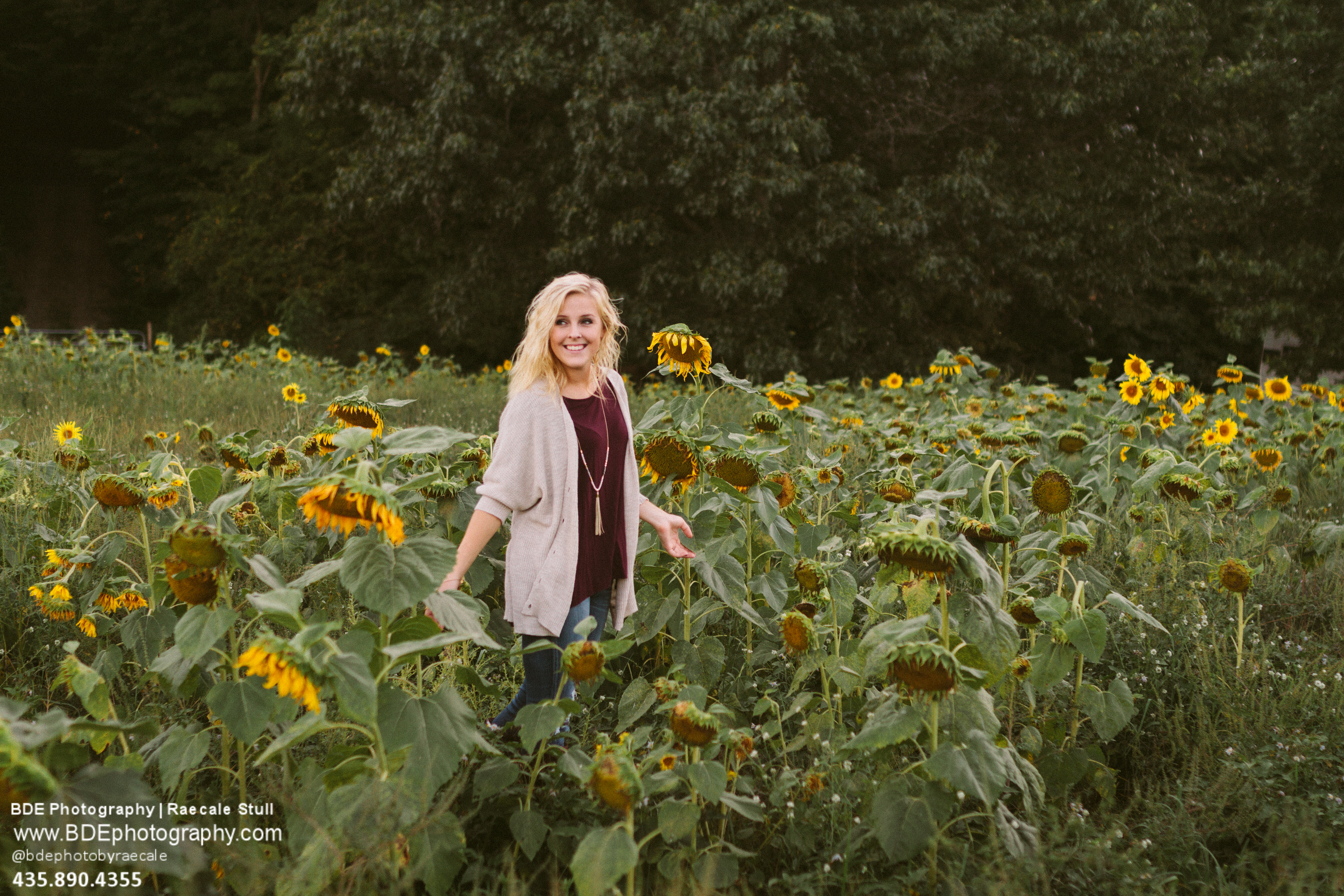 mini sessions | christmas card | family portraits | family photographer | traveling photographer living on a bus | vintage bus conversion | family of 7 | fall family pictures | west michigan photographer | michigan Photographer | south haven photographer | Caledonia photographer | Hastings photographer | south haven photographer | allegan high school | class of 2017